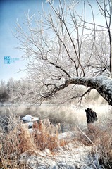 DSC_0141.jpg