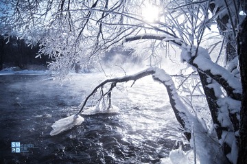 DSC_01413.jpg