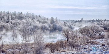 “DSC_0317”为智能对象-1.jpg