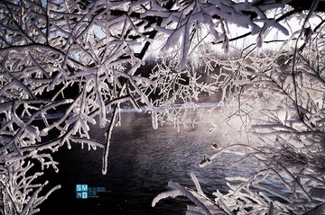 DSC_0157.jpg