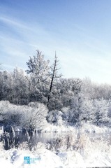 DSC_0920.jpg