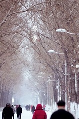DSC_1488.jpg