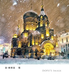 “DSC_0364”为智能对象-2.jpg