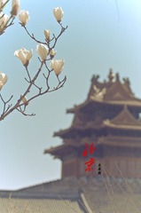 DSC_1740_副本.jpg