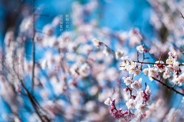 “DSC_1984”为智能对象-1.jpg