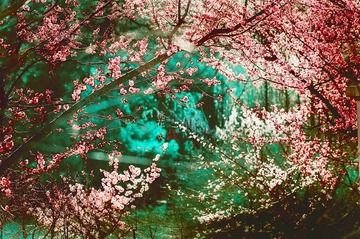 “DSC_2035”为智能对象-1.jpg