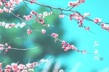 “DSC_1896”为智能对象-1.jpg