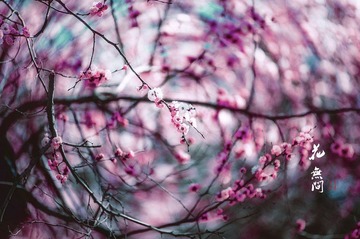 “DSC_1913”为智能对象-1.jpg