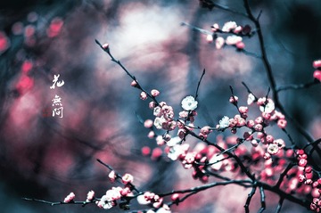 “DSC_1889”为智能对象-1.jpg