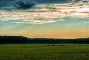 20120822-DSC_1896.jpg