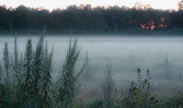 20120823-DSC_2033.jpg