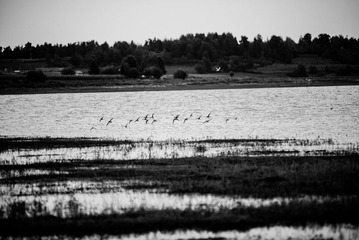20120817-DSC_0836.jpg