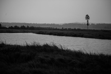 20120818-DSC_0972.jpg