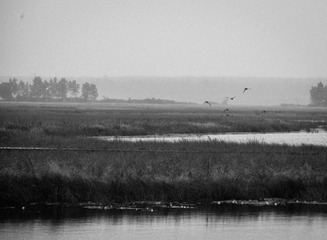 20120818-DSC_0986.jpg