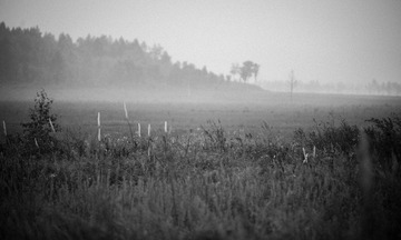 20120818-DSC_1025.jpg