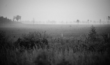 20120818-DSC_1026.jpg