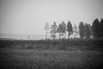 20120818-DSC_1034.jpg