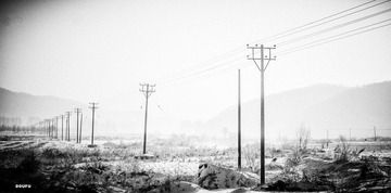 DSC_0982.jpg