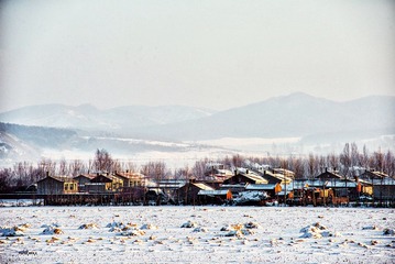 DSC_0965.jpg