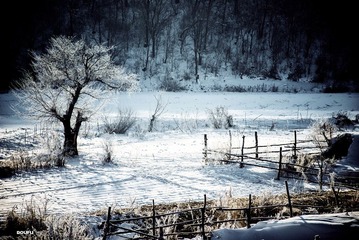 DSC_0987.jpg