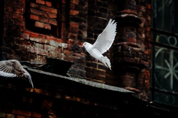 DSC_5544.jpg