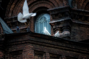 DSC_5546.jpg