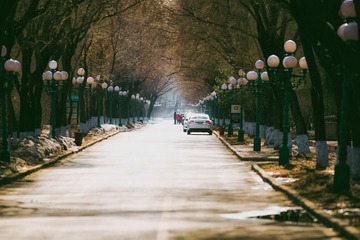 DSC_5968.jpg