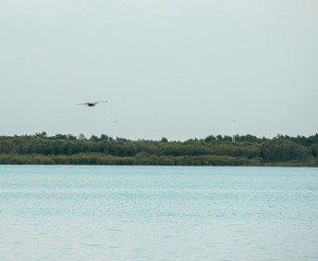 DSC_4076.jpg