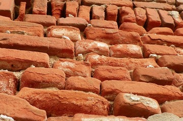 100_0101.JPG