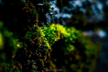 _DSC8046