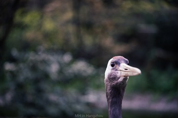 _DSC0363