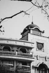 _DSC0377
