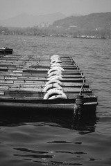 _DSC0386