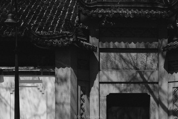 _DSC0431