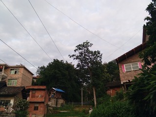 268073