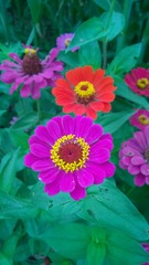 冷新芳Windows Phone_20140723_13_27_39_Pro