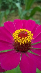冷新芳Windows Phone_20140723_13_35_57_Pro