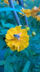 冷新芳Windows Phone_20140724_08_09_30_Pro