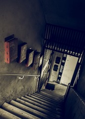 006