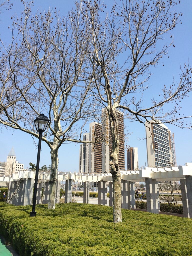 我生活的海滨小城