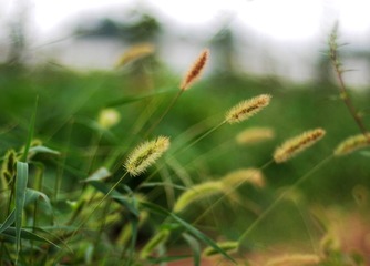 20140828_12.03.58