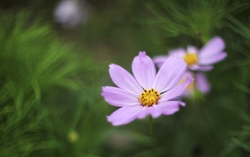 20140828_15.36.11