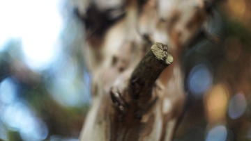 20141006_13.30.46