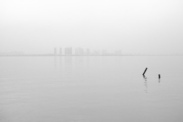 SDIM0736