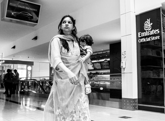 _DSC6524