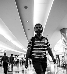 _DSC6550