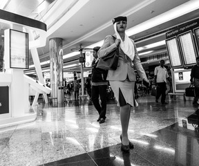 _DSC6568
