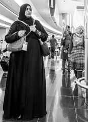 _DSC6602