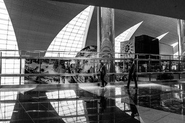 _DSC6640