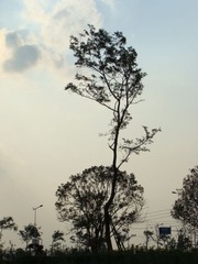 DSC00803.JPG